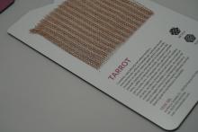 Campione esposto presso MaterialDesignPoint