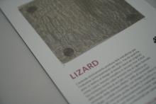 Campione esposto presso MaterialDesignPoint