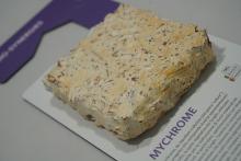 Campione esposto presso MaterialDesignPoint