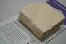 Campione esposto presso MaterialDesignPoint