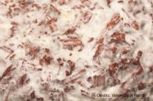 Credits: Valentina di Pietro