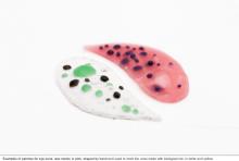 Credits: Giuliana Califano