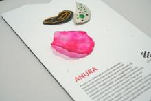 Campione esposto presso MaterialDesignPoint