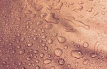 Credits: MARM \ MORE