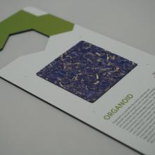 Campione esposto presso MaterialDesignPoint